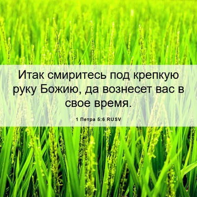 Picture 06 - 1 Петра 5:6 RUSV - Итак смиритесь под крепкую - Bible Verse Picture
