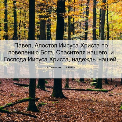 Picture 06 - 1 Тимофею 1:1 RUSV - Павел, Апостол Иисуса - Bible Verse Picture