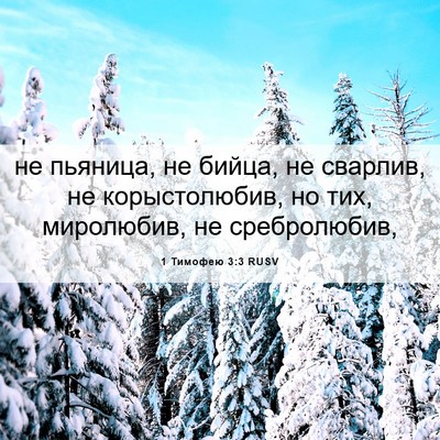 Picture 06 - 1 Тимофею 3:3 RUSV - не пьяница, не бийца, не - Bible Verse Picture