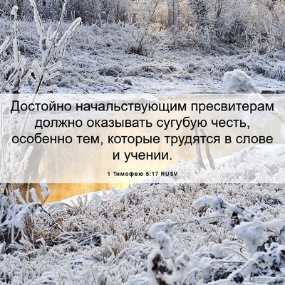 Picture 06 - 1 Тимофею 5:17 RUSV - Достойно начальствующим - Bible Verse Picture