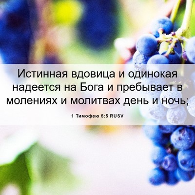 Picture 06 - 1 Тимофею 5:5 RUSV - Истинная вдовица и - Bible Verse Picture