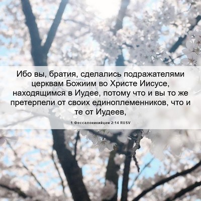 Picture 06 - 1 Фессалоникийцам 2:14 RUSV - Ибо вы, братия, сделались - Bible Verse Picture