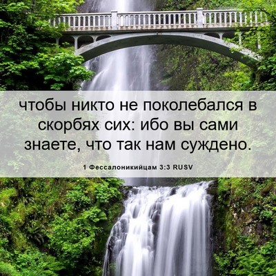 Picture 06 - 1 Фессалоникийцам 3:3 RUSV - чтобы никто не поколебался - Bible Verse Picture