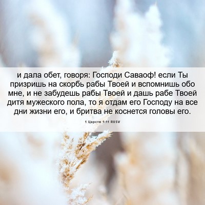 Picture 06 - 1 Царств 1:11 RUSV - и дала обет, говоря: - Bible Verse Picture