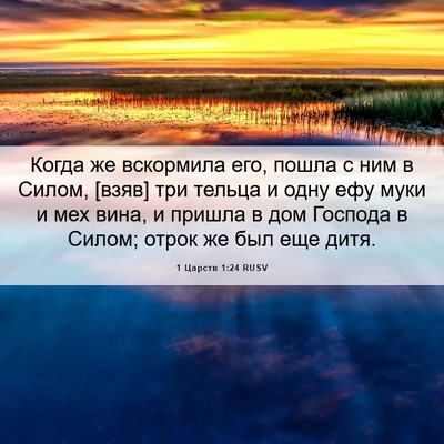 Picture 06 - 1 Царств 1:24 RUSV - Когда же вскормила его, - Bible Verse Picture