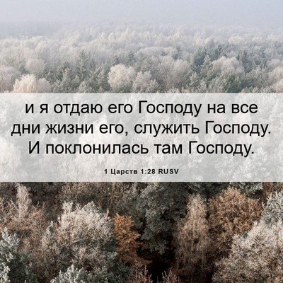 Picture 06 - 1 Царств 1:28 RUSV - и я отдаю его Господу на - Bible Verse Picture