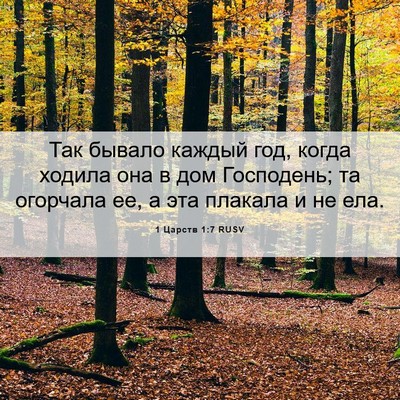 Picture 06 - 1 Царств 1:7 RUSV - Так бывало каждый год, - Bible Verse Picture