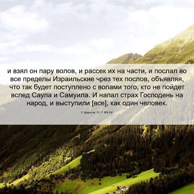Picture 06 - 1 Царств 11:7 RUSV - и взял он пару волов, и - Bible Verse Picture