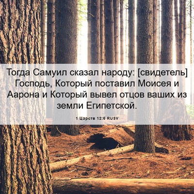 Picture 06 - 1 Царств 12:6 RUSV - Тогда Самуил сказал - Bible Verse Picture