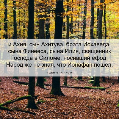 Picture 06 - 1 Царств 14:3 RUSV - и Ахия, сын Ахитува, брата - Bible Verse Picture