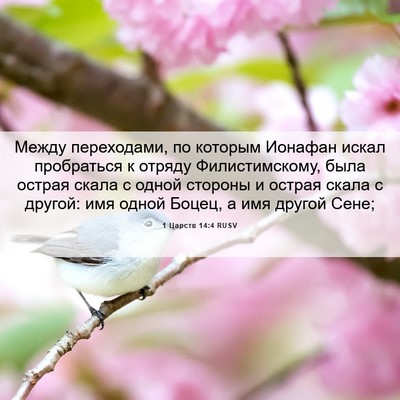 Picture 06 - 1 Царств 14:4 RUSV - Между переходами, по - Bible Verse Picture