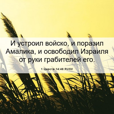 Picture 06 - 1 Царств 14:48 RUSV - И устроил войско, и поразил - Bible Verse Picture