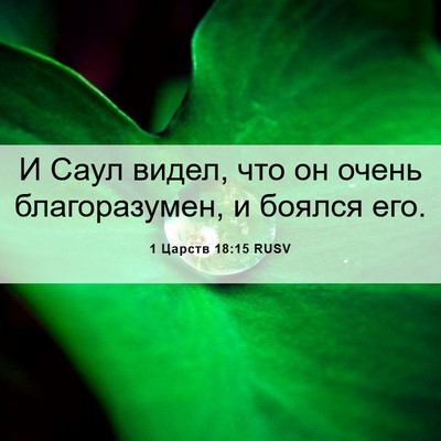 Picture 06 - 1 Царств 18:15 RUSV - И Саул видел, что он очень - Bible Verse Picture