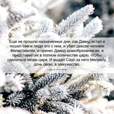 Picture 06 - 1 Царств 18:27 RUSV - Еще не прошли назначенные - Bible Verse Picture