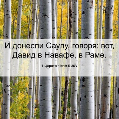 Picture 06 - 1 Царств 19:19 RUSV - И донесли Саулу, говоря: - Bible Verse Picture