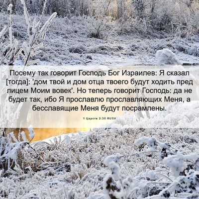 Picture 06 - 1 Царств 2:30 RUSV - Посему так говорит Господь - Bible Verse Picture