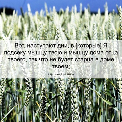 Picture 06 - 1 Царств 2:31 RUSV - Вот, наступают дни, в - Bible Verse Picture