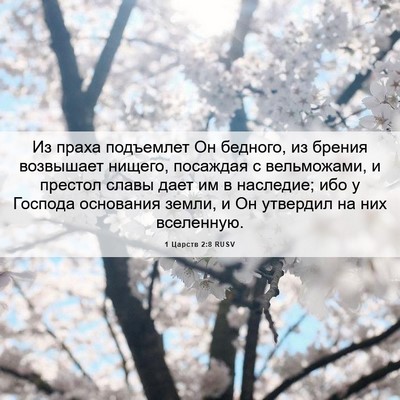 Picture 06 - 1 Царств 2:8 RUSV - Из праха подъемлет Он - Bible Verse Picture