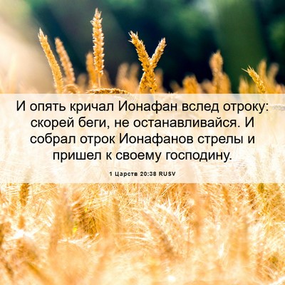 Picture 06 - 1 Царств 20:38 RUSV - И опять кричал Ионафан - Bible Verse Picture