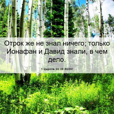 Picture 06 - 1 Царств 20:39 RUSV - Отрок же не знал ничего; - Bible Verse Picture