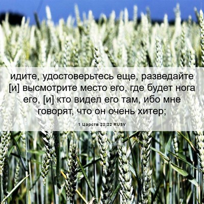 Picture 06 - 1 Царств 23:22 RUSV - идите, удостоверьтесь еще, - Bible Verse Picture