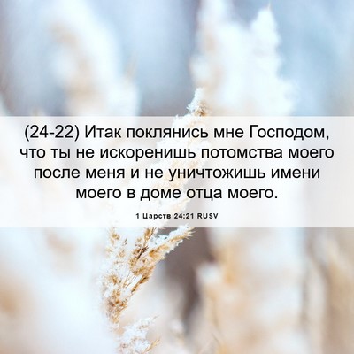 Picture 06 - 1 Царств 24:21 RUSV - (24-22) Итак поклянись мне - Bible Verse Picture