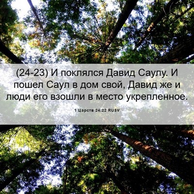 Picture 06 - 1 Царств 24:22 RUSV - (24-23) И поклялся Давид - Bible Verse Picture