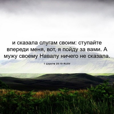 Picture 06 - 1 Царств 25:19 RUSV - и сказала слугам своим: - Bible Verse Picture