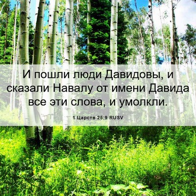 Picture 06 - 1 Царств 25:9 RUSV - И пошли люди Давидовы, и - Bible Verse Picture
