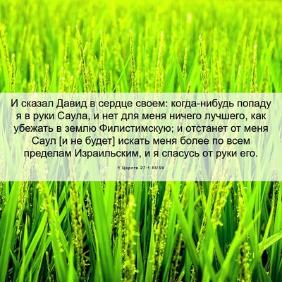Picture 06 - 1 Царств 27:1 RUSV - И сказал Давид в сердце - Bible Verse Picture
