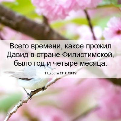 Picture 06 - 1 Царств 27:7 RUSV - Всего времени, какое - Bible Verse Picture