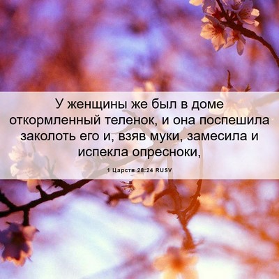 Picture 06 - 1 Царств 28:24 RUSV - У женщины же был в доме - Bible Verse Picture