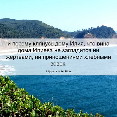 Picture 06 - 1 Царств 3:14 RUSV - и посему клянусь дому Илия, - Bible Verse Picture