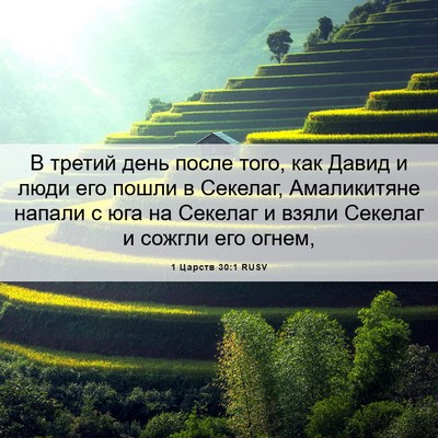 Picture 06 - 1 Царств 30:1 RUSV - В третий день после того, - Bible Verse Picture