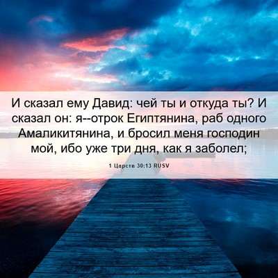 Picture 06 - 1 Царств 30:13 RUSV - И сказал ему Давид: чей ты и - Bible Verse Picture