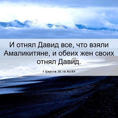 Picture 06 - 1 Царств 30:18 RUSV - И отнял Давид все, что - Bible Verse Picture