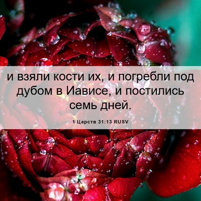 Picture 06 - 1 Царств 31:13 RUSV - и взяли кости их, и - Bible Verse Picture
