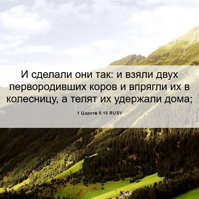 Picture 06 - 1 Царств 6:10 RUSV - И сделали они так: и взяли - Bible Verse Picture
