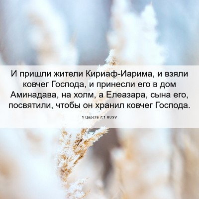Picture 06 - 1 Царств 7:1 RUSV - И пришли жители - Bible Verse Picture