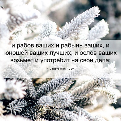 Picture 06 - 1 Царств 8:16 RUSV - и рабов ваших и рабынь - Bible Verse Picture