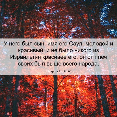 Picture 06 - 1 Царств 9:2 RUSV - У него был сын, имя его - Bible Verse Picture