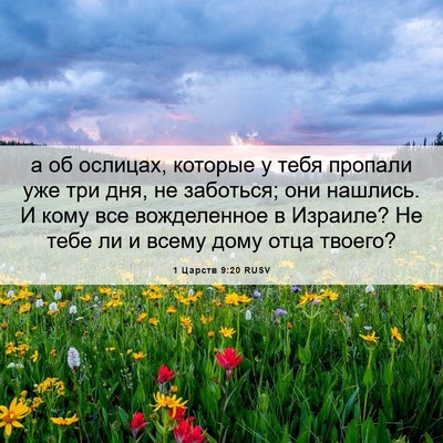 Picture 06 - 1 Царств 9:20 RUSV - а об ослицах, которые у - Bible Verse Picture