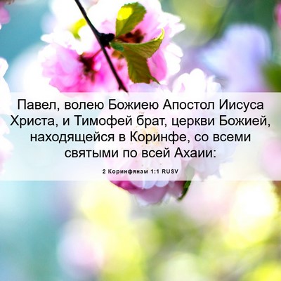 Picture 06 - 2 Коринфянам 1:1 RUSV - Павел, волею Божиею - Bible Verse Picture