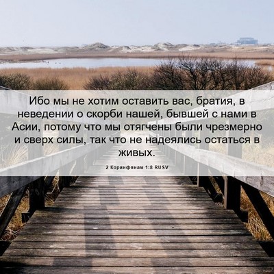 Picture 06 - 2 Коринфянам 1:8 RUSV - Ибо мы не хотим оставить - Bible Verse Picture