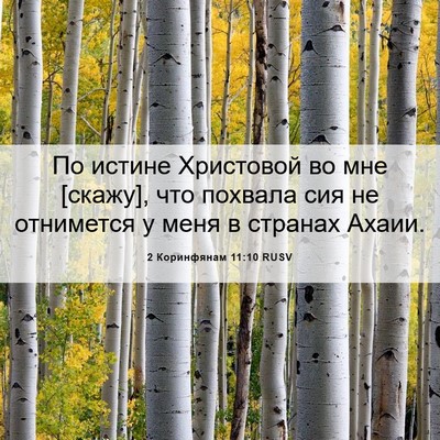Picture 06 - 2 Коринфянам 11:10 RUSV - По истине Христовой во мне - Bible Verse Picture