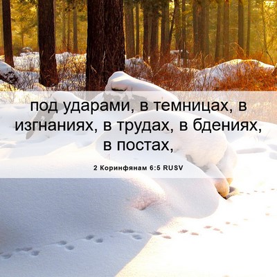 Picture 06 - 2 Коринфянам 6:5 RUSV - под ударами, в темницах, в - Bible Verse Picture