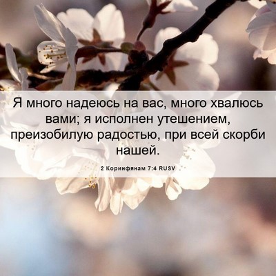 Picture 06 - 2 Коринфянам 7:4 RUSV - Я много надеюсь на вас, - Bible Verse Picture