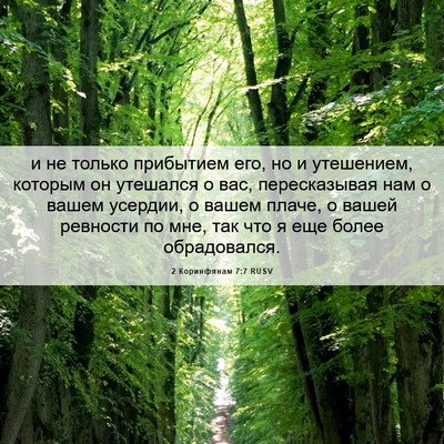 Picture 06 - 2 Коринфянам 7:7 RUSV - и не только прибытием его, - Bible Verse Picture