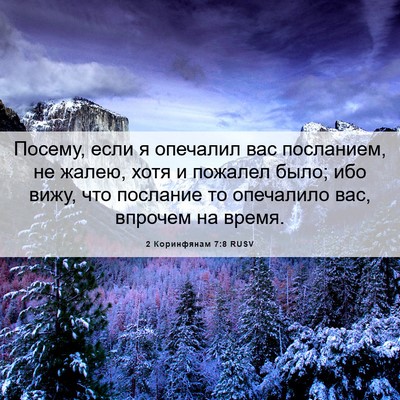 Picture 06 - 2 Коринфянам 7:8 RUSV - Посему, если я опечалил вас - Bible Verse Picture