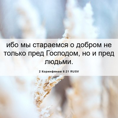 Picture 06 - 2 Коринфянам 8:21 RUSV - ибо мы стараемся о добром - Bible Verse Picture
